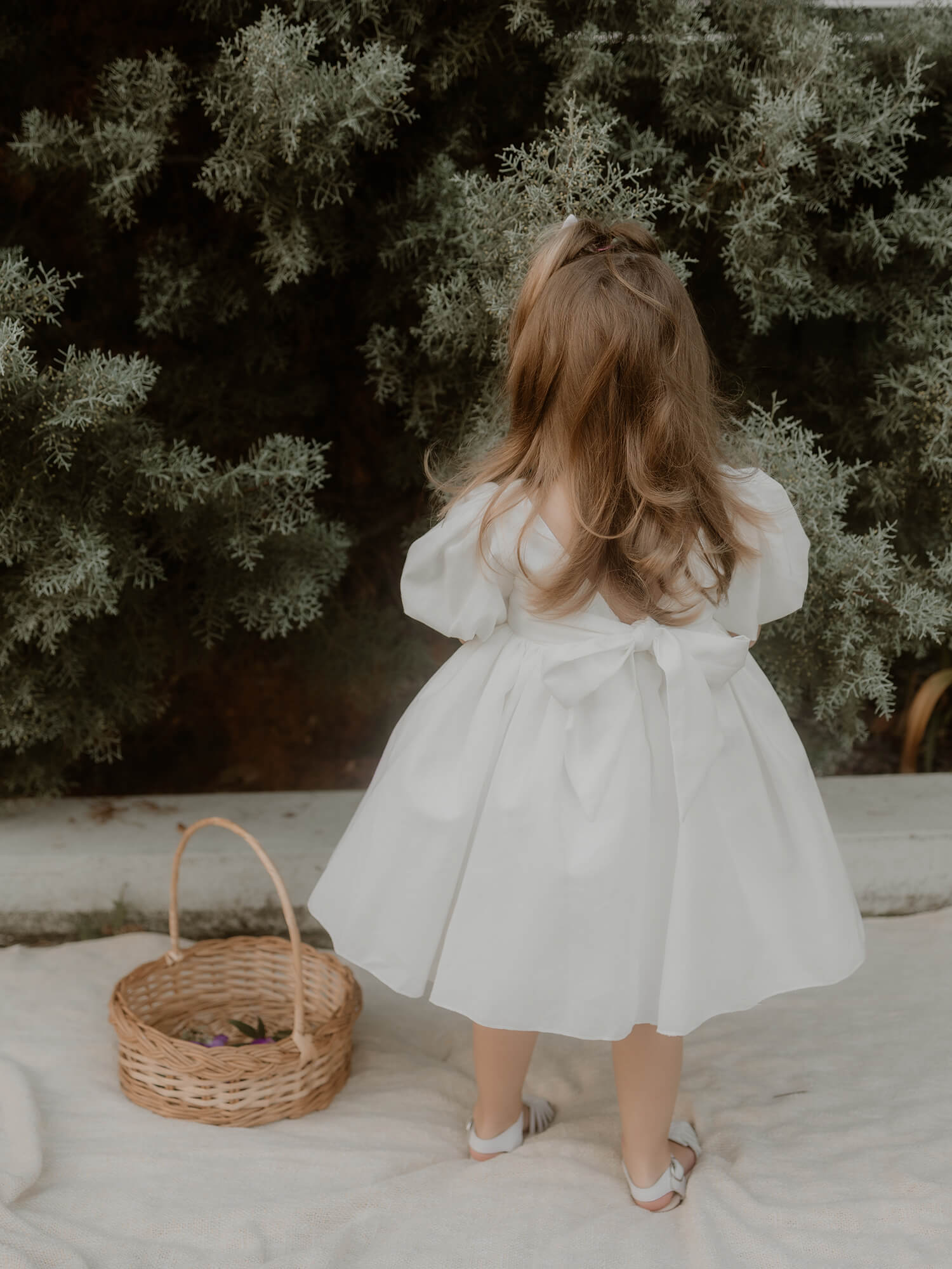 Cleo dress - linen