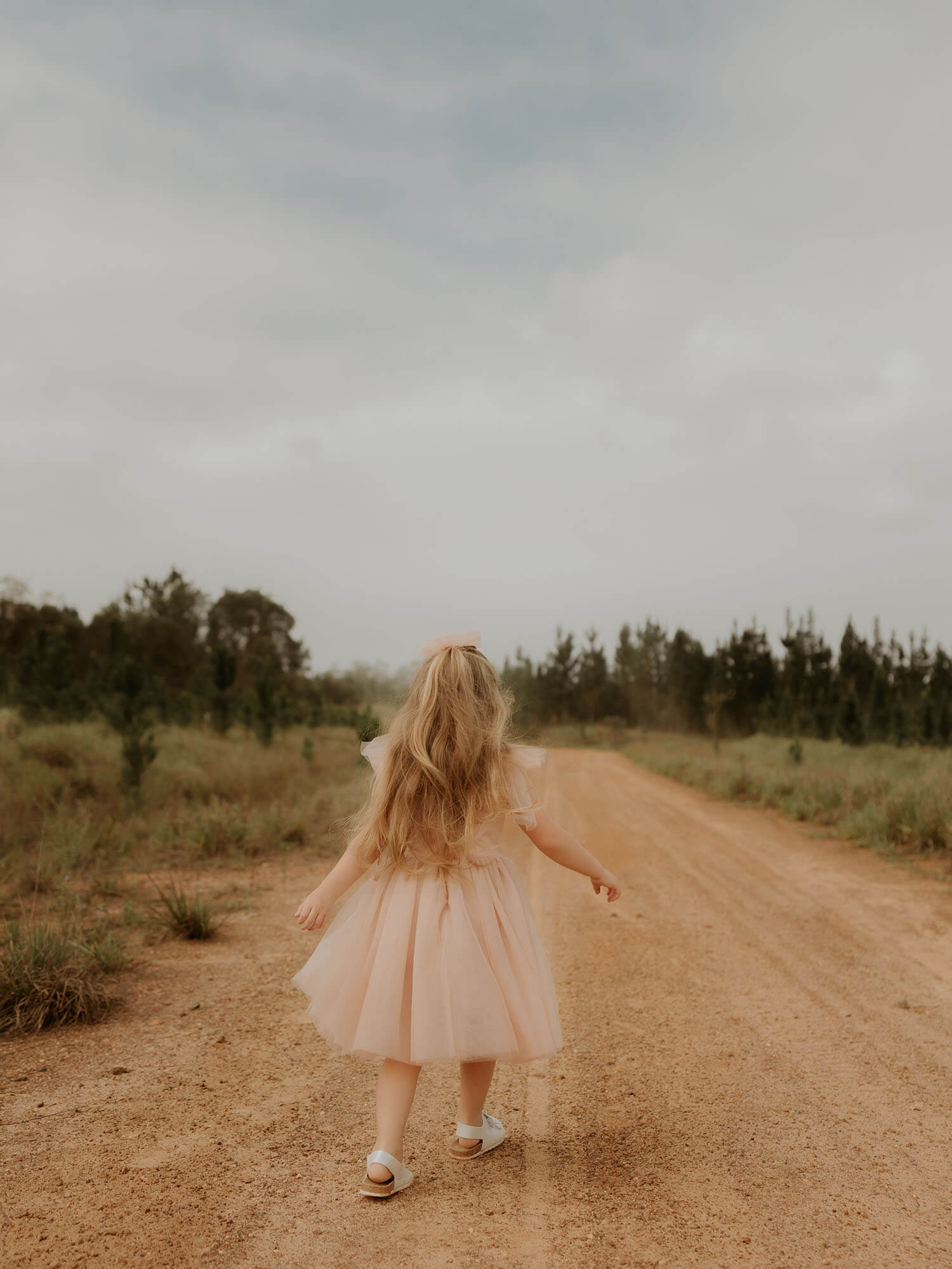 The back of our Isla champagne flower girl dress, with tulle tie sleeves and tea length soft tulle skirt.