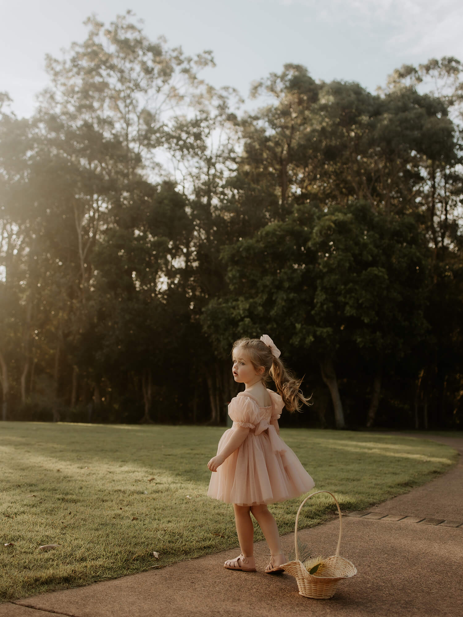 Layla dress - champagne