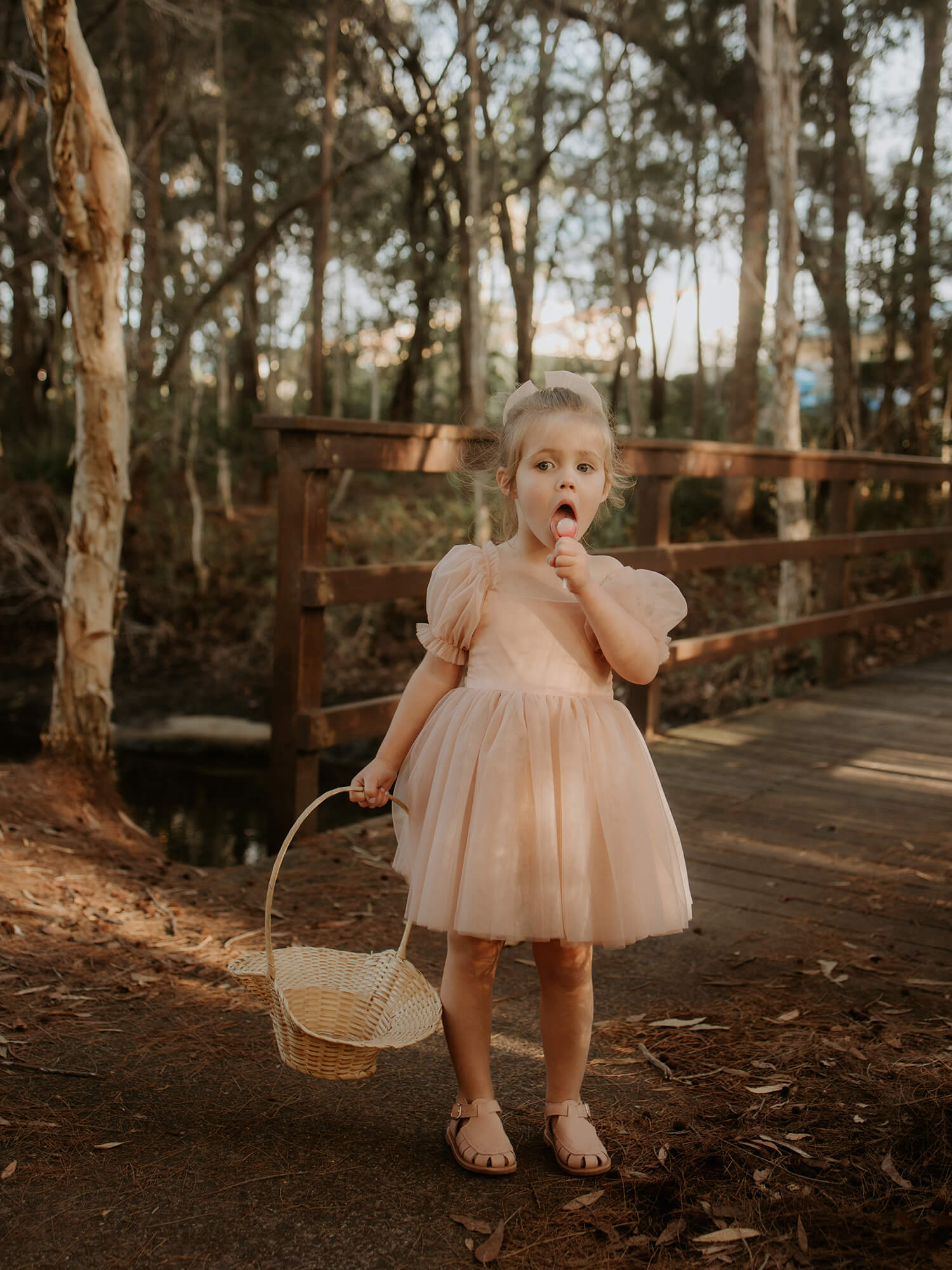 Layla dress - champagne