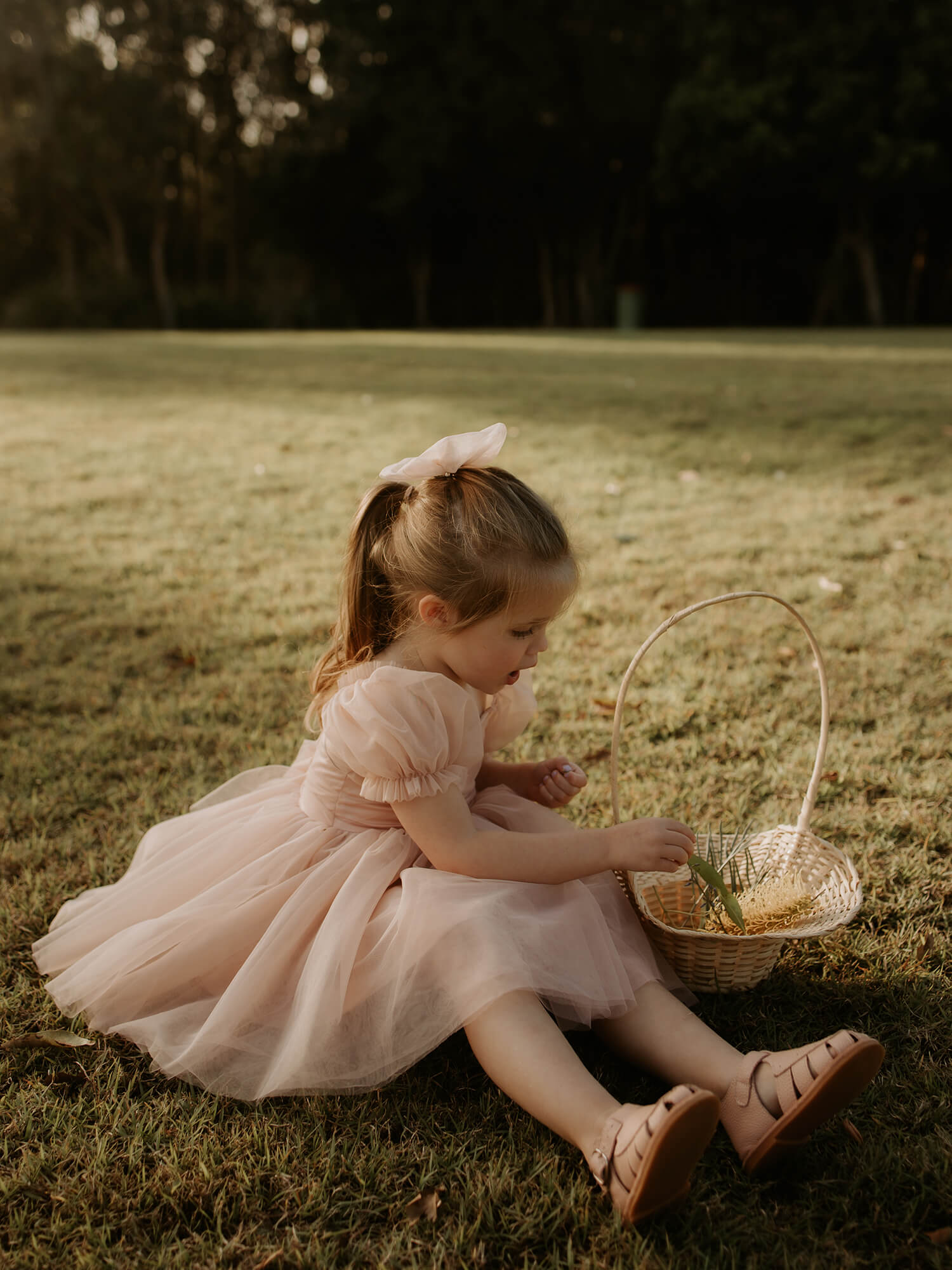 Layla dress - champagne