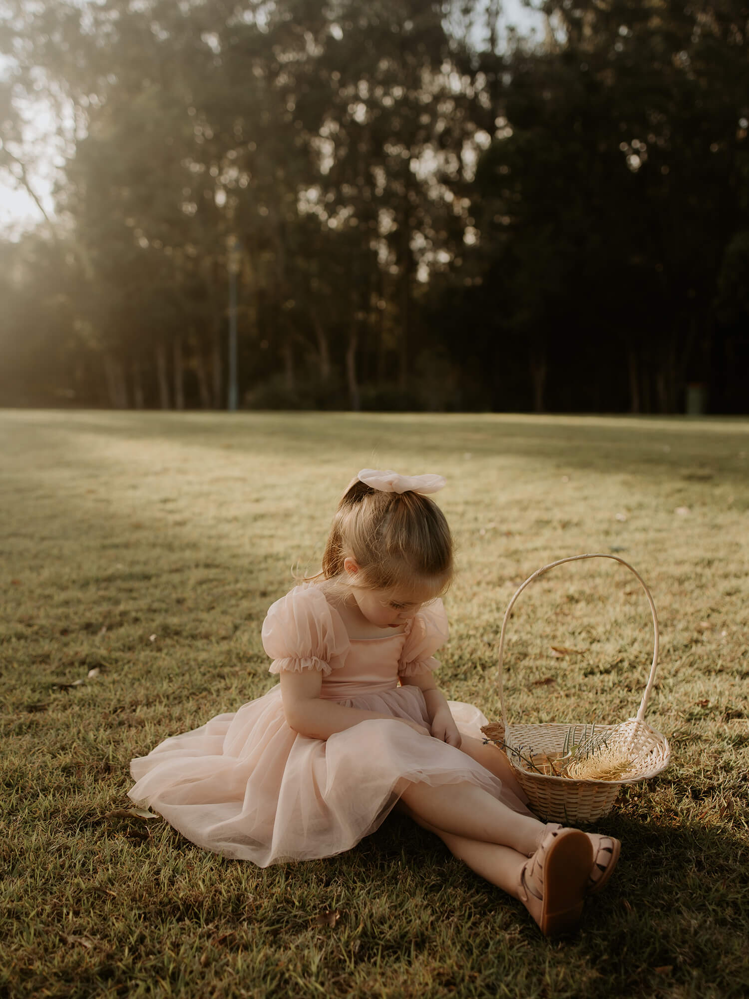Layla dress - champagne