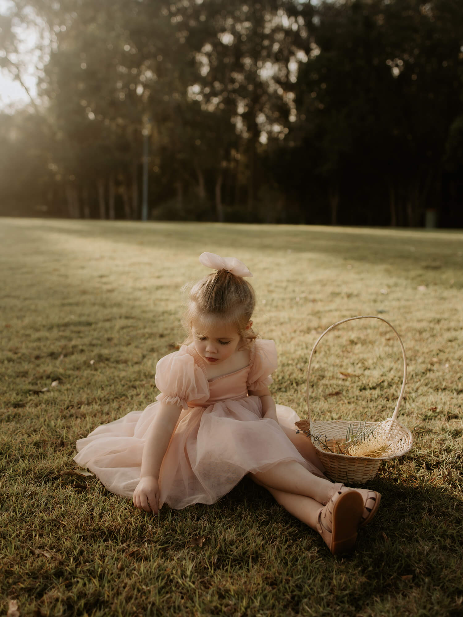 Layla dress - champagne