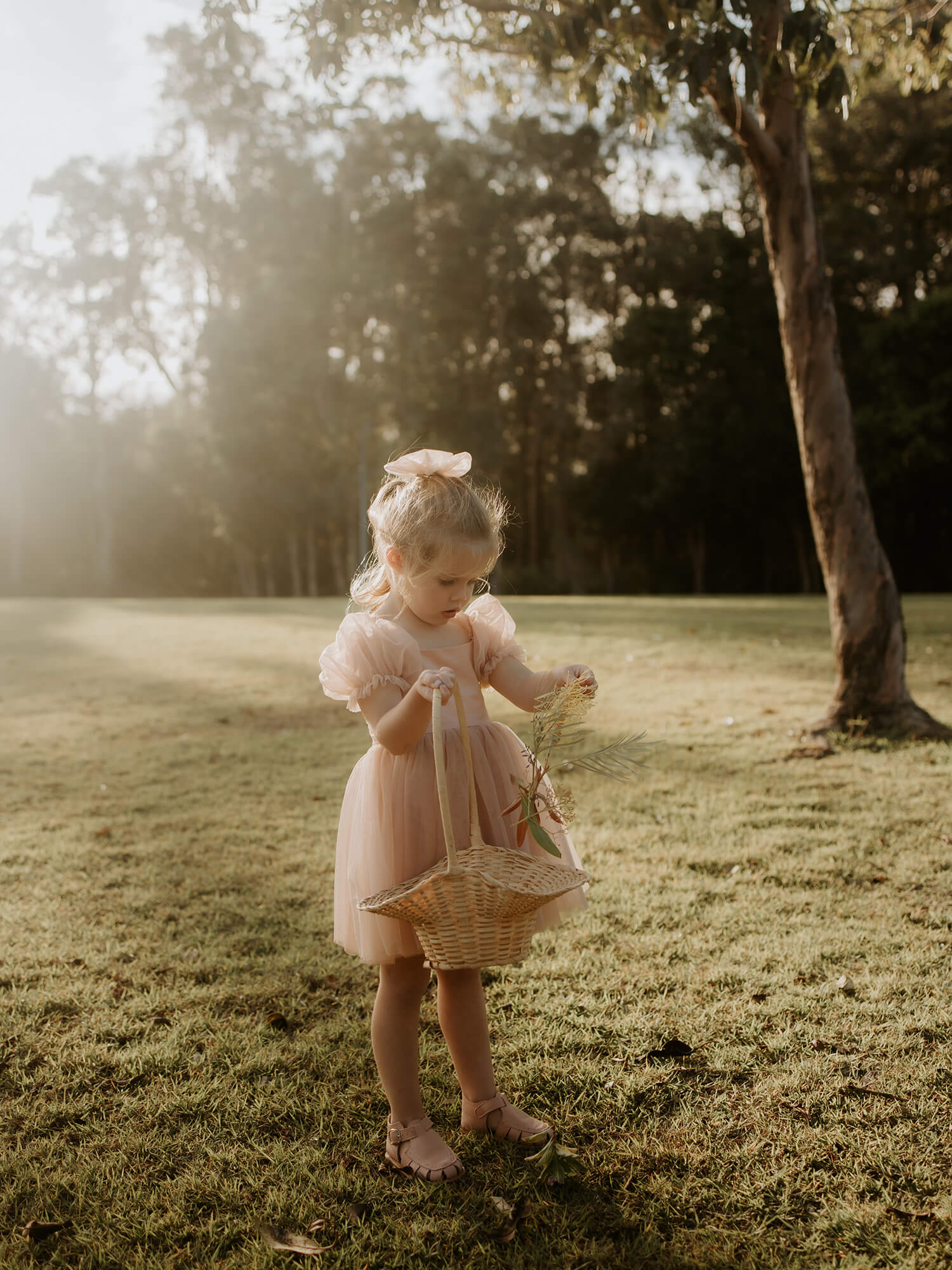 Layla dress - champagne