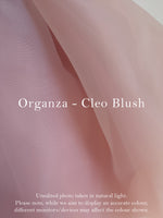 Cleo dress - blush