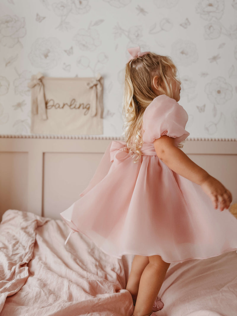 Cleo dress - blush organza