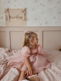 Cleo dress - blush organza