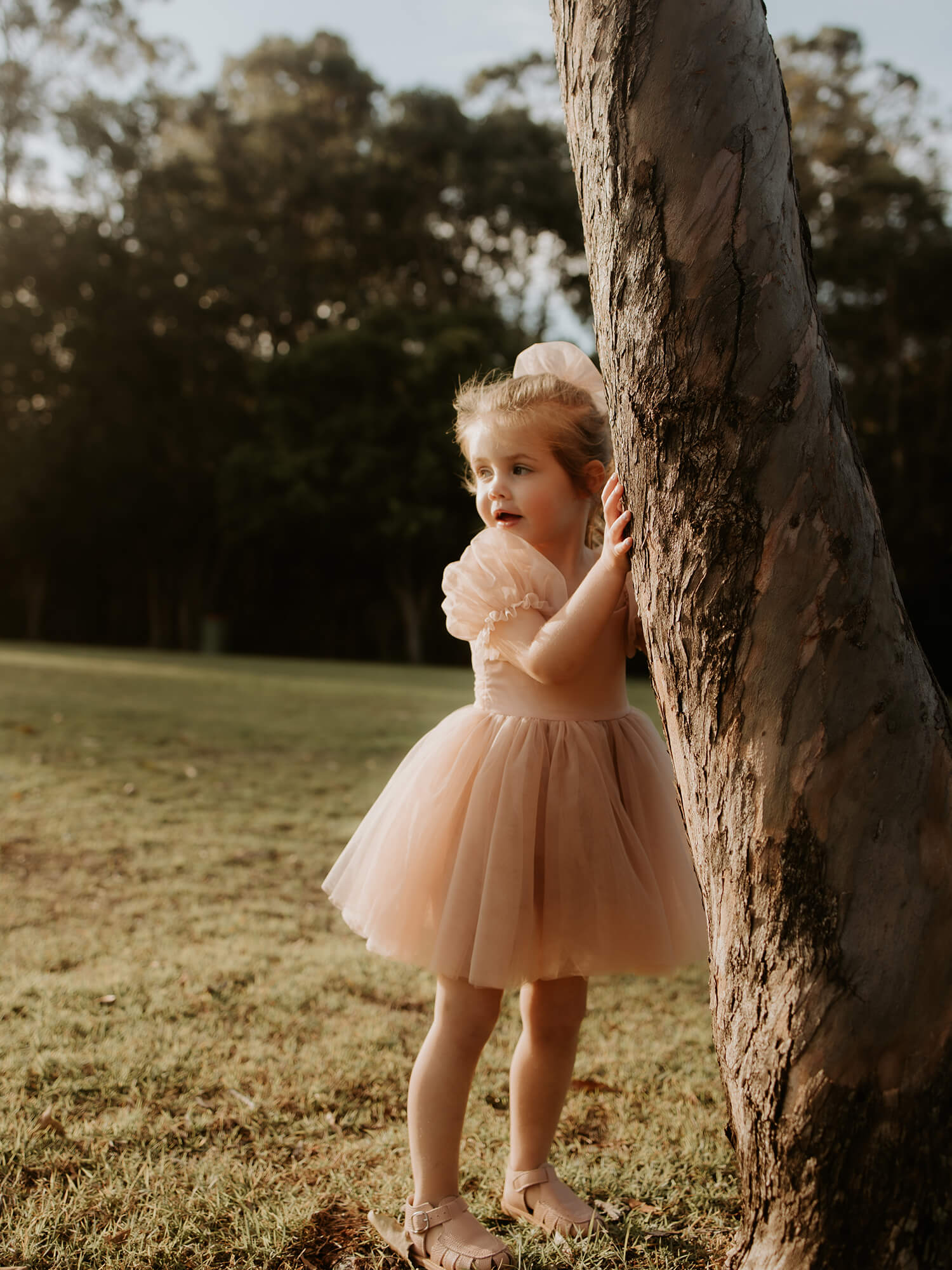 Champagne tulle flower girl dress hotsell