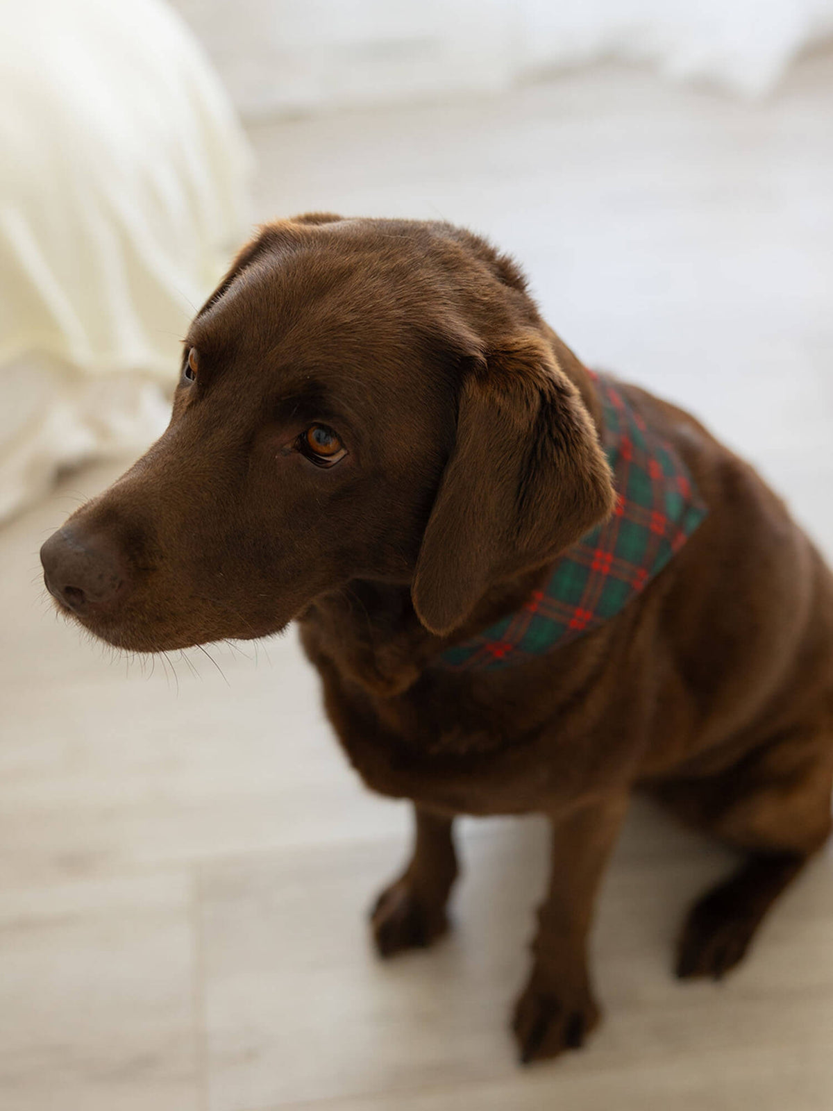 Christmas plaid accessories