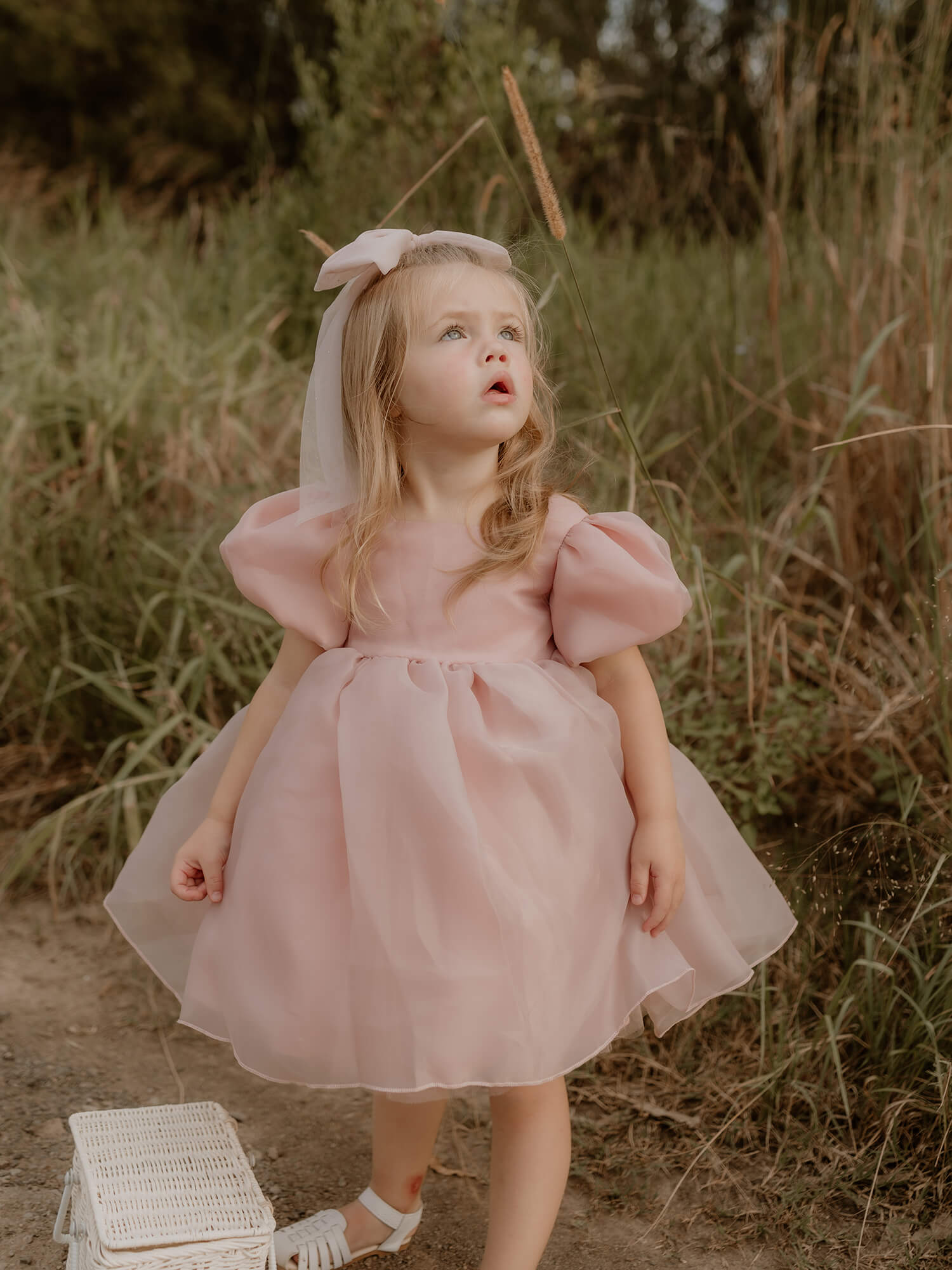 Cleo dress - blush organza