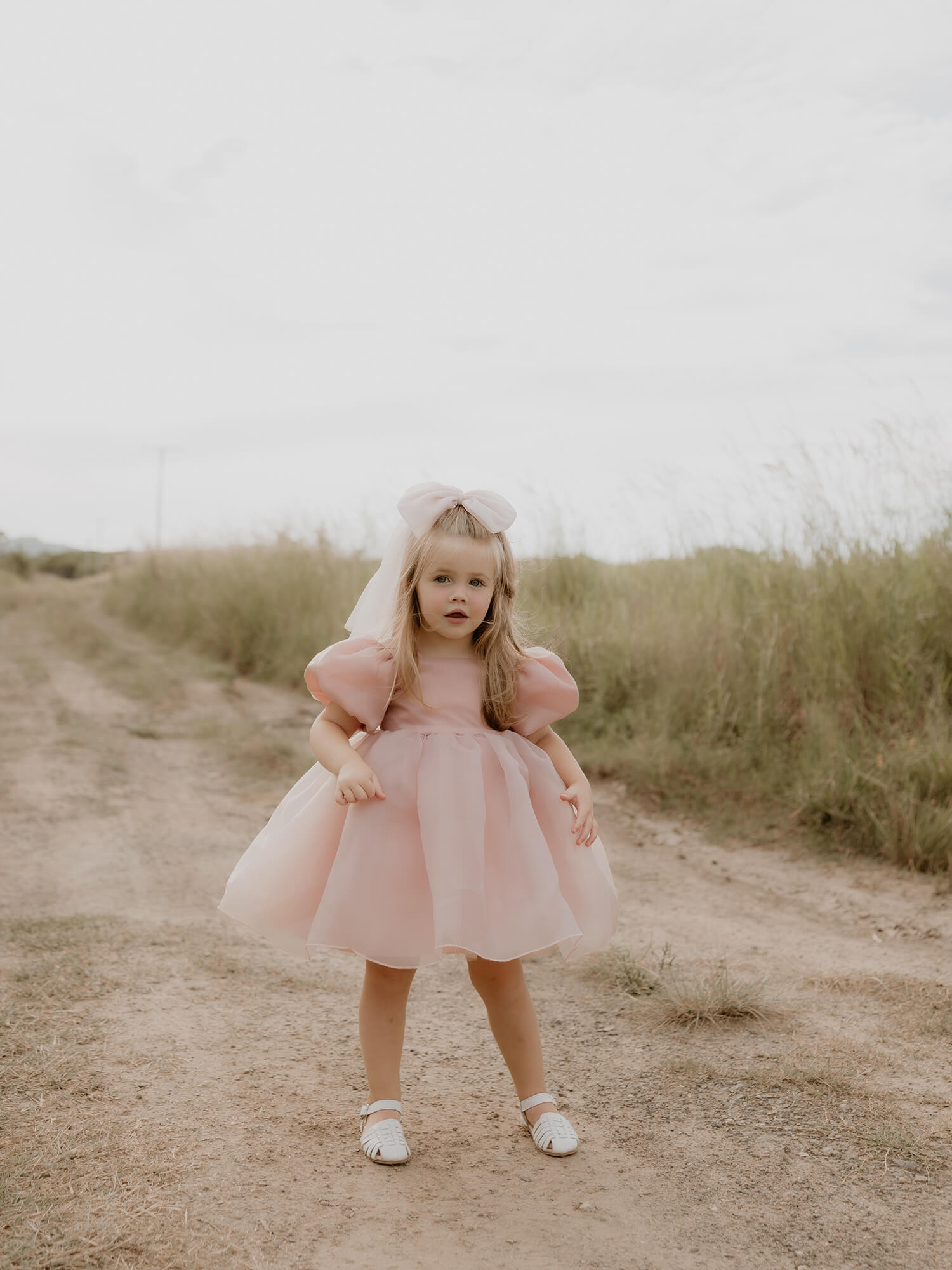 Cleo dress - blush organza