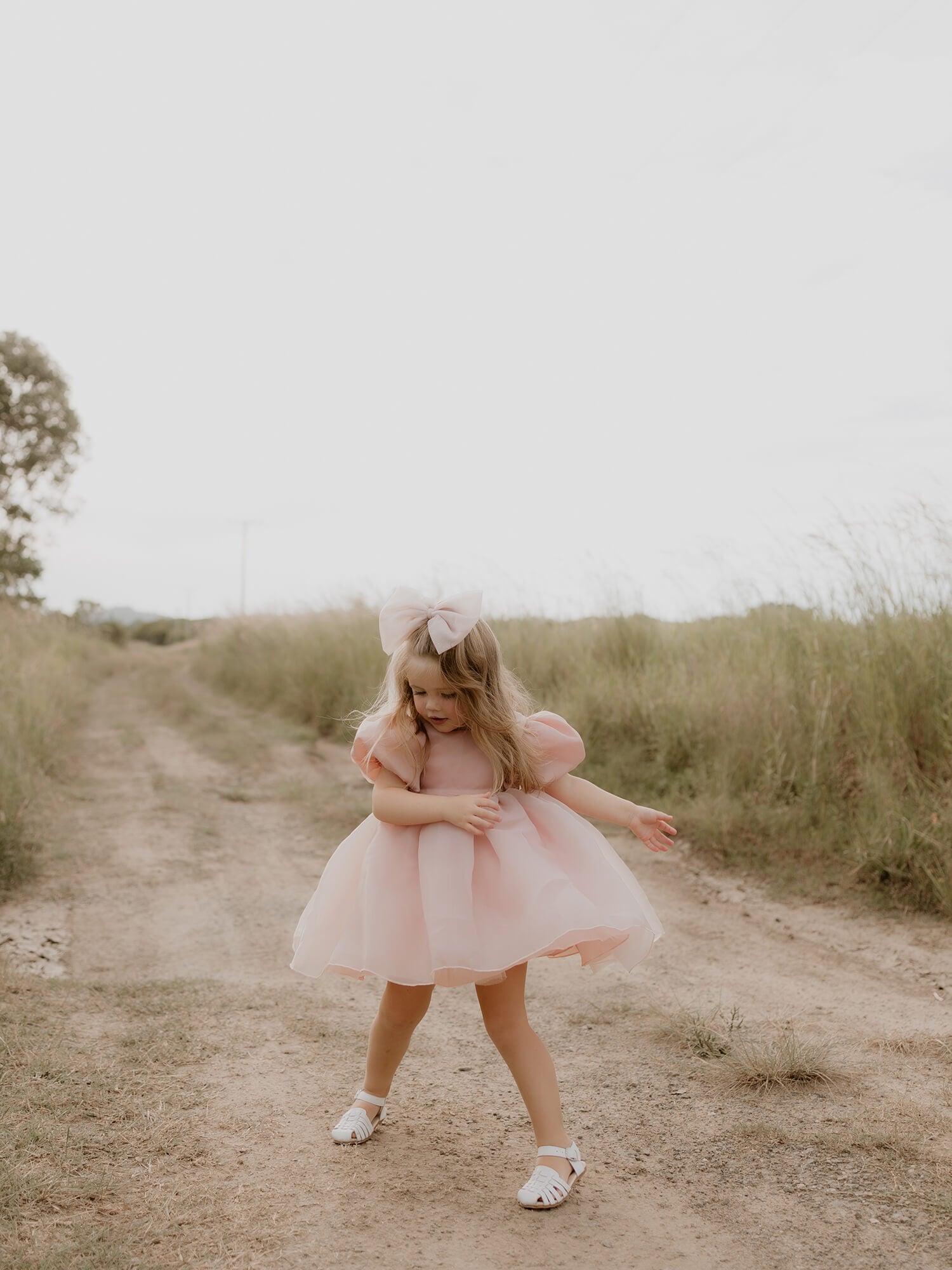 Cleo dress - blush organza