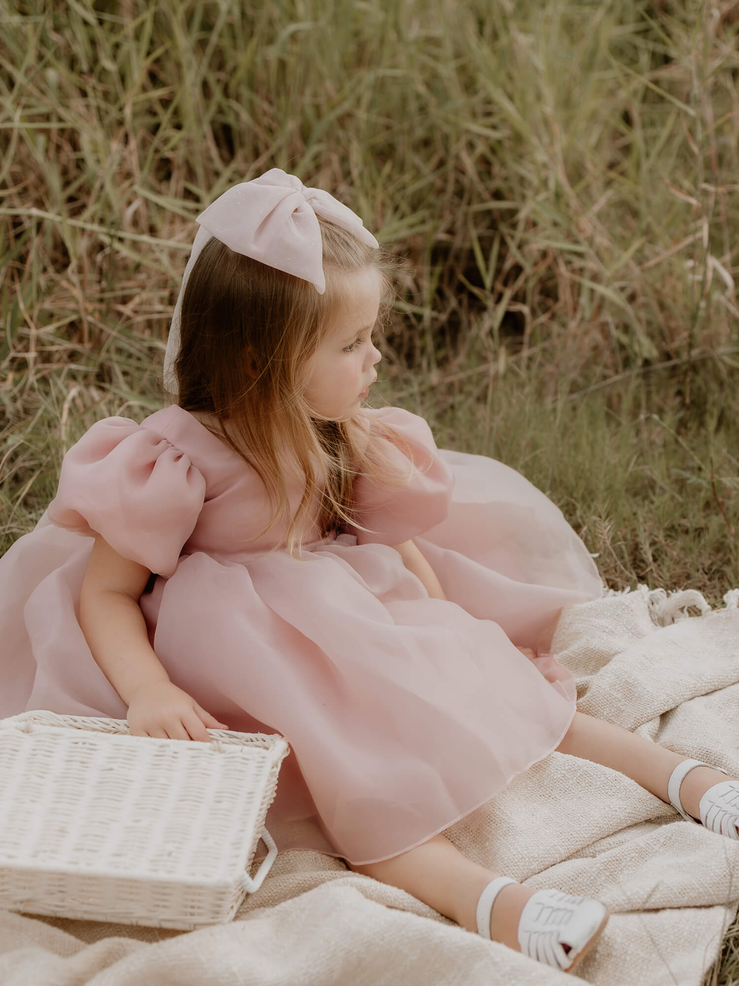 Cleo dress - blush organza