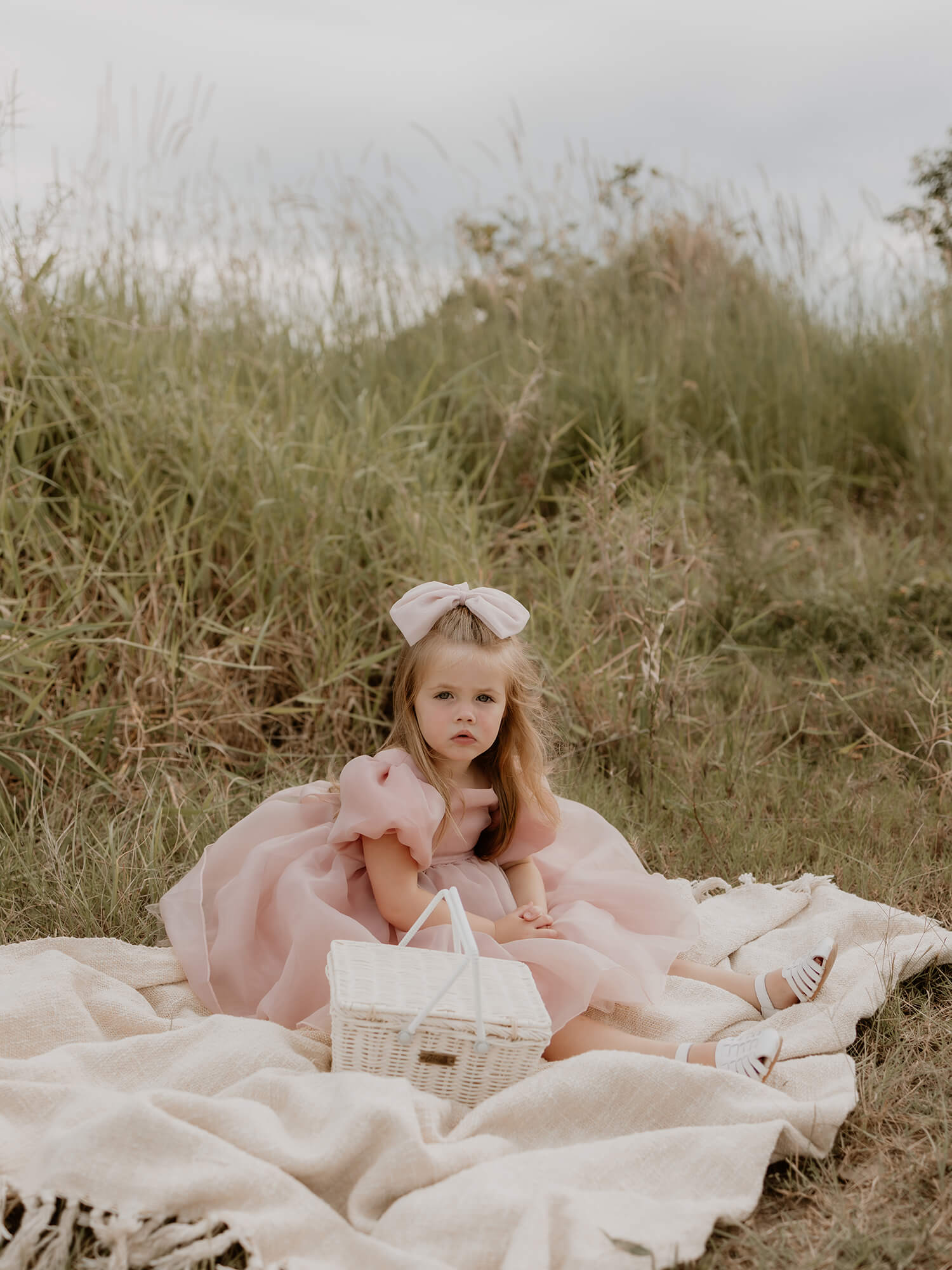 Cleo dress - blush organza