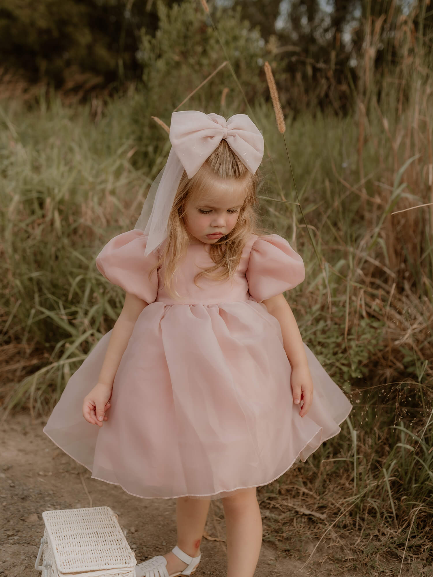 Cleo dress - blush organza