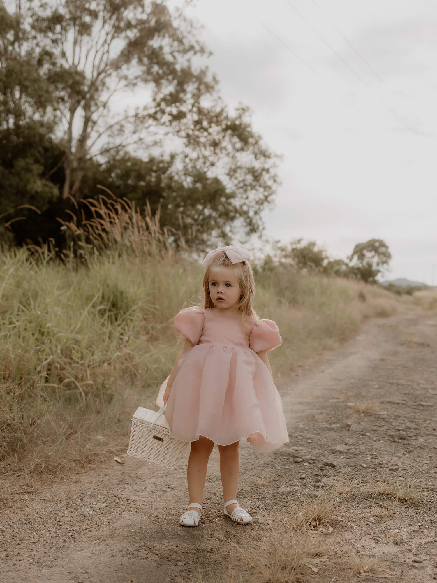 Cleo dress - blush organza