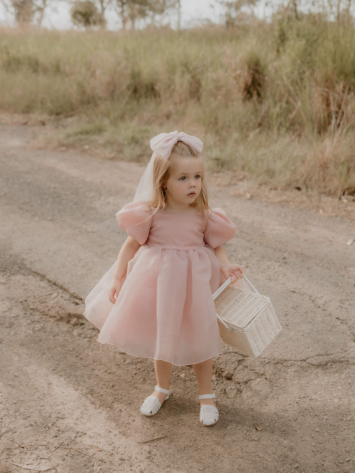 Cleo dress - blush organza