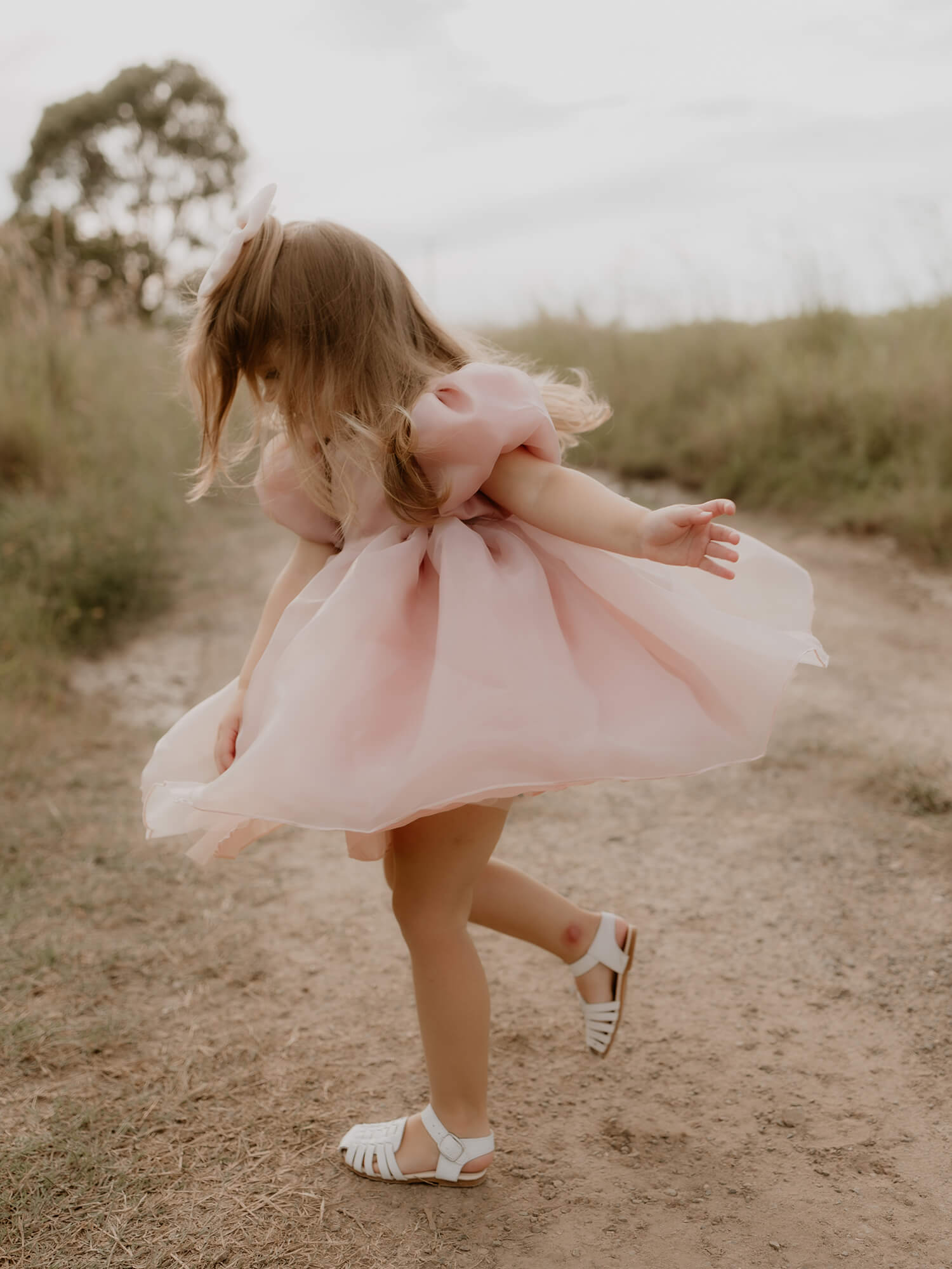 Cleo dress - blush organza