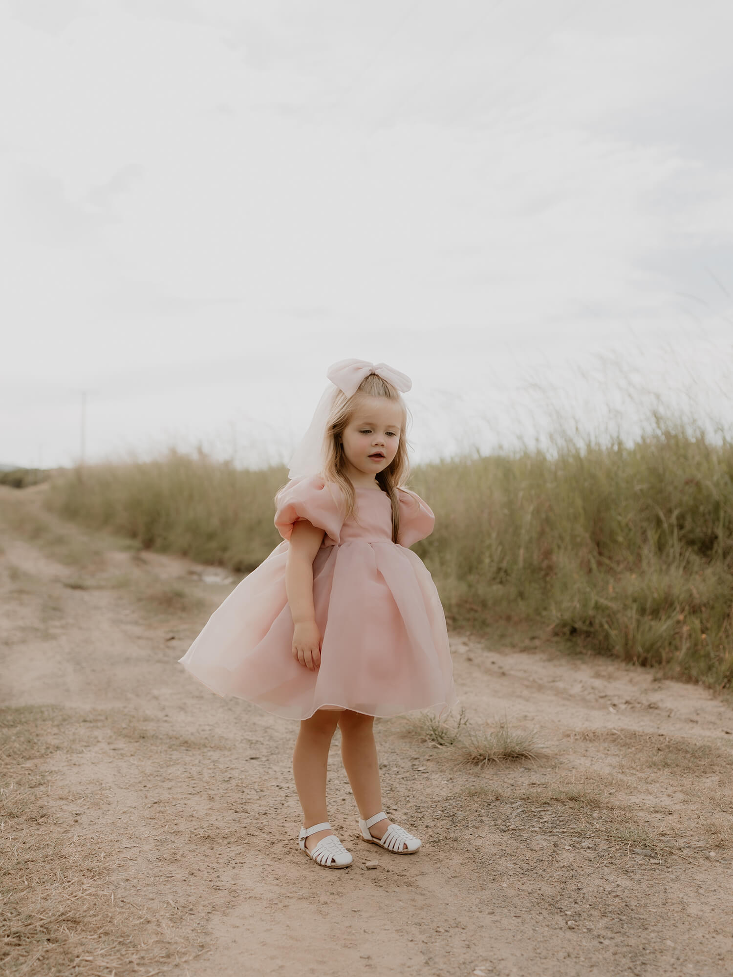 Cleo dress - blush organza
