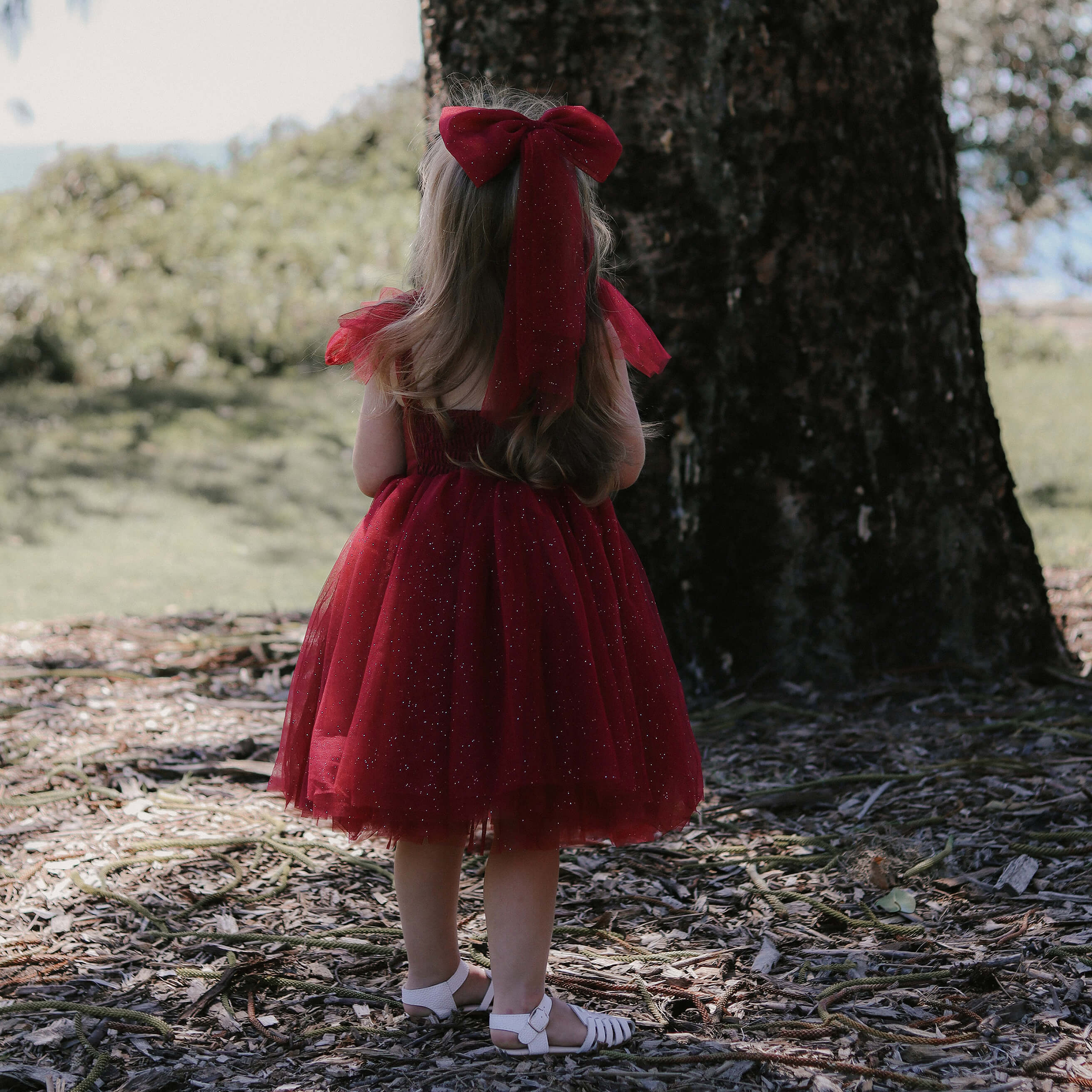 Little bum bums and cheapest roses red tiered scarlet christmas dress NWT