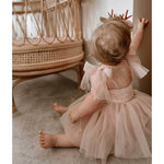 Rosie tulle baby flower girl dress is worn by a baby girl.